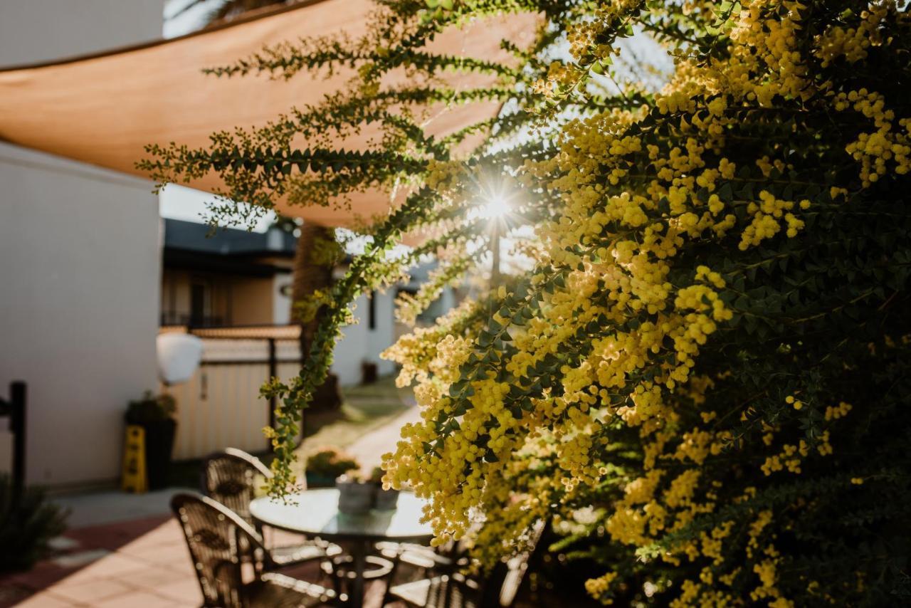 Inverell Terrace Motor Lodge Kültér fotó